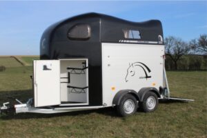 VAN 2 PLACES CHEVAL LIBERTE GOLD 2